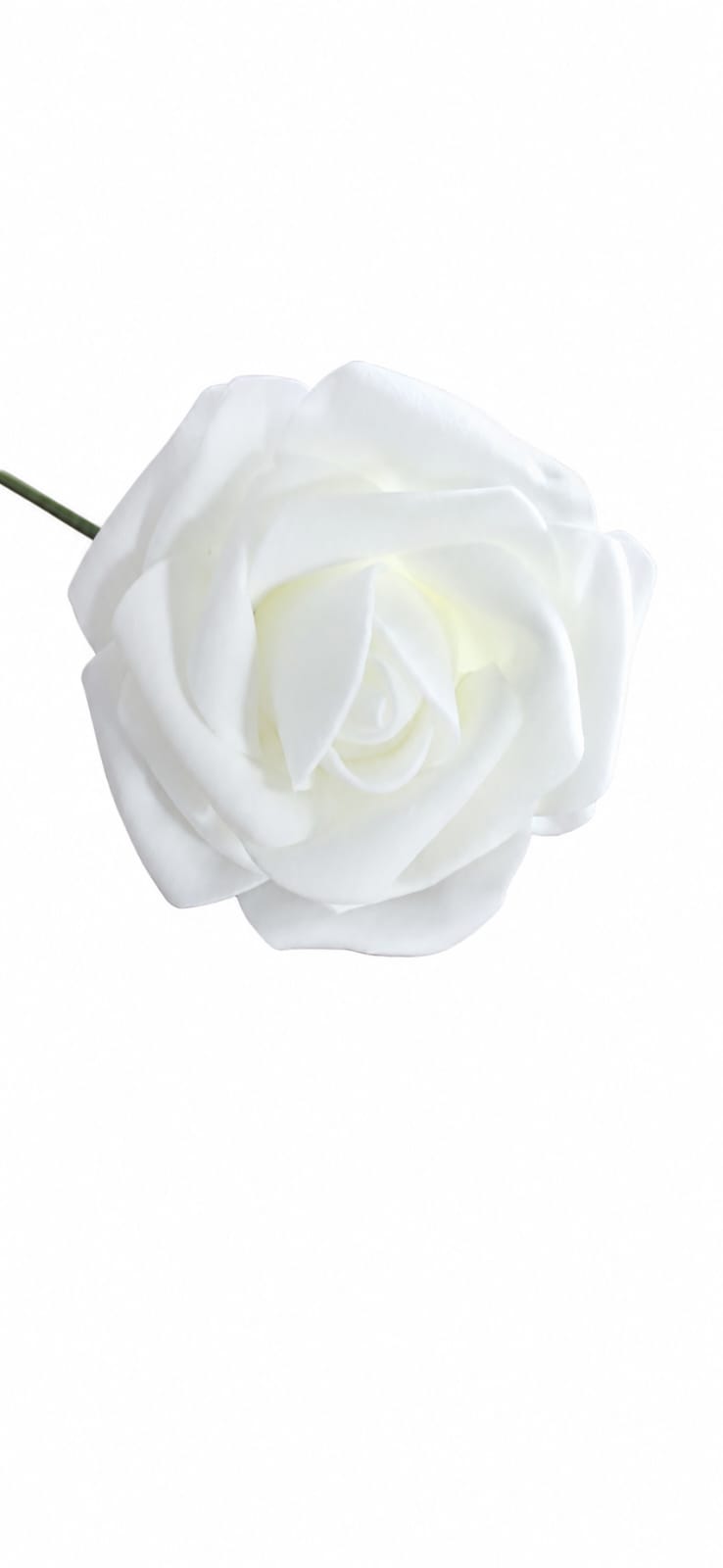 Fleur