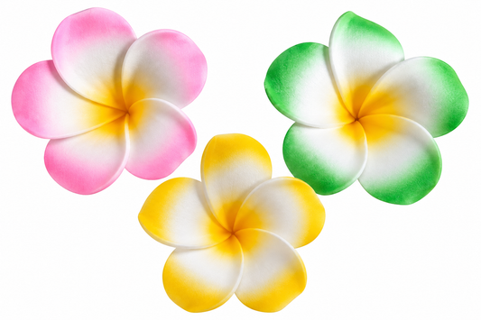 Fleurs