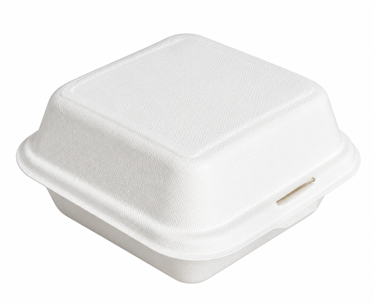 Boîte bento cake
